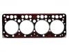 прокладка цилиндра Cylinder Head Gasket:364 016 07 20
