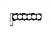 прокладка цилиндра Cylinder Head Gasket:603 016 38 20