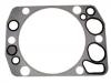 прокладка цилиндра Cylinder Head Gasket:422 016 04 20