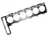 прокладка цилиндра Cylinder Head Gasket:606 016 03 20
