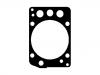 Junta de culata Cylinder Head Gasket:460 016 04 20